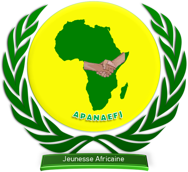 Association panafricaine pour l'encadrement et la formation de la jeunesse