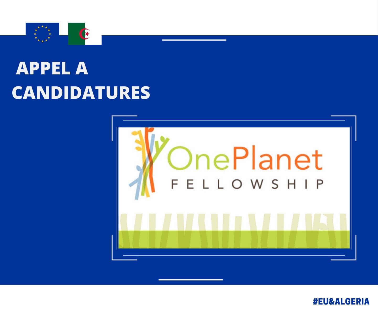 One Planet Fellowship accepte les nouvelles candidatures
