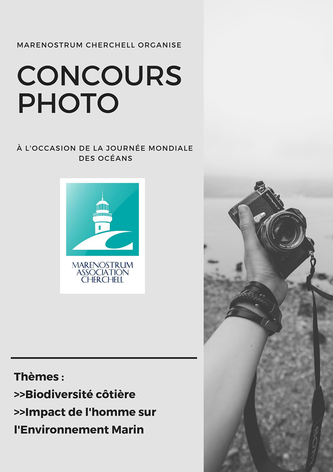 Un concours de photographie est ouvert aux amateurs de la photos